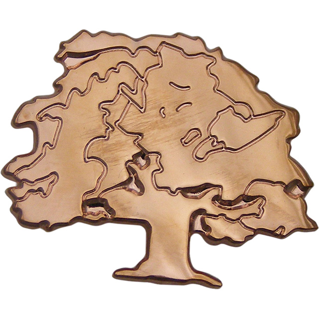 Pin without coloring